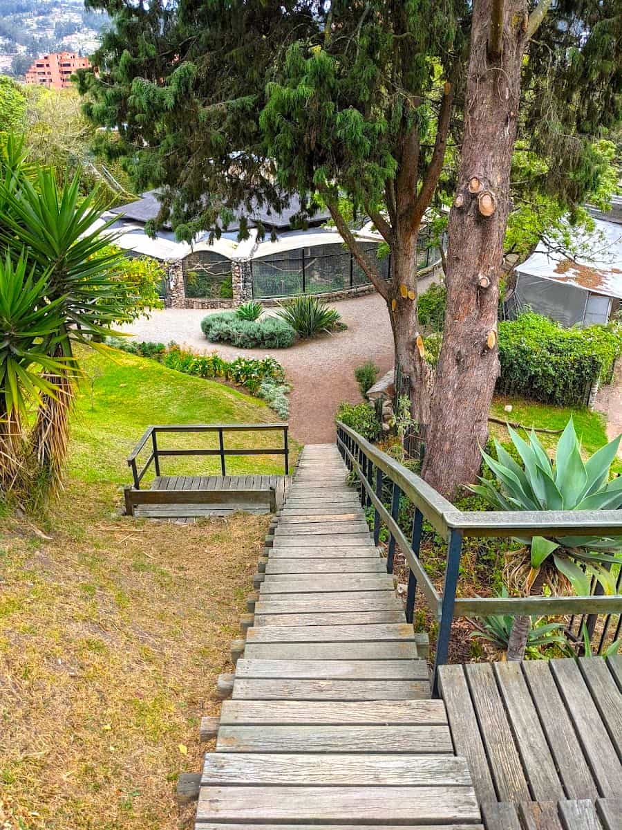 Ruinas de Pumapungo, Cuenca, Ecuador Ruinas de Pumapungo, Cuenca, Ecuador