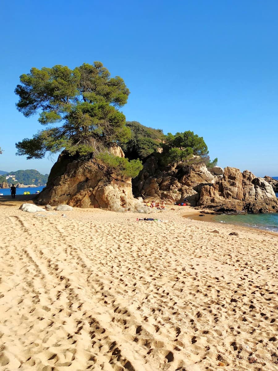 Santa Cristina, Lloret de Mar Santa Cristina, Lloret de Mar