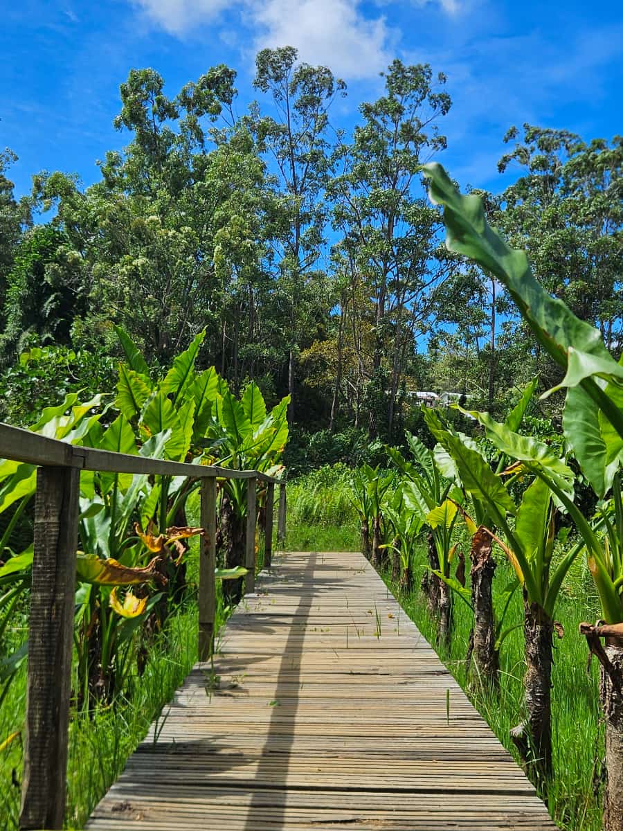 Vakôna Lemur Island, Madagascar Vakôna Lemur Island, Madagascar