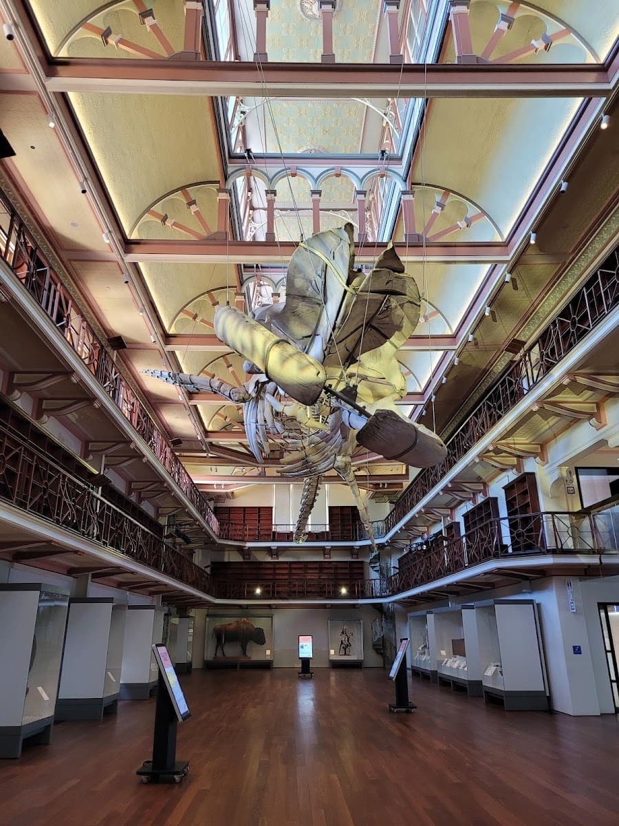 WA Museum Boola Bardip, Australia WA Museum Boola Bardip, Australia