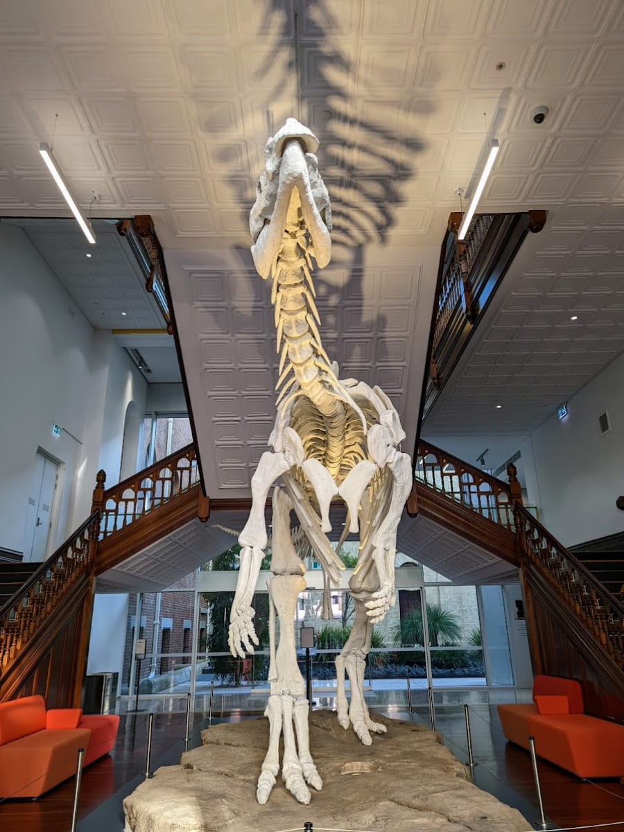 WA Museum Boola Bardip, Australia WA Museum Boola Bardip, Australia