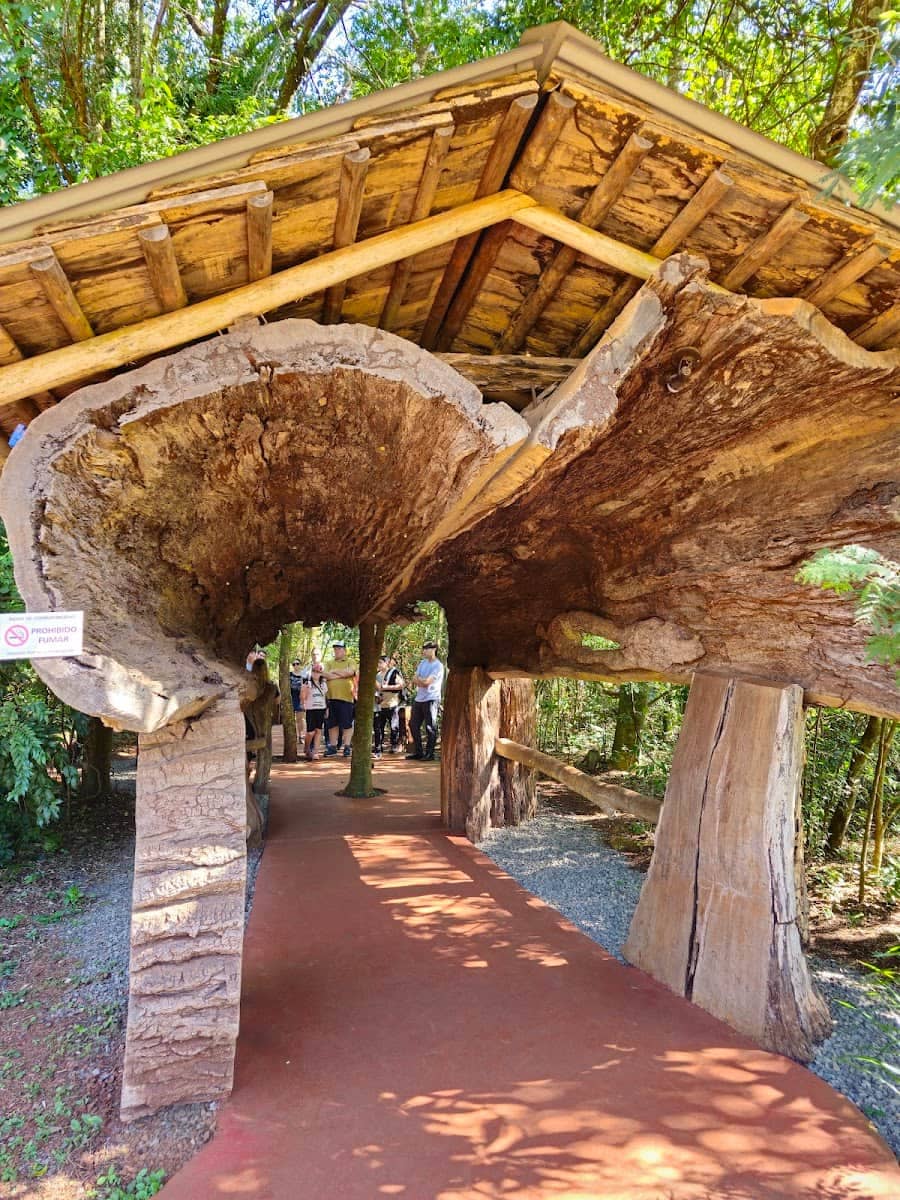 Aripuca, Puerto Iguazú Aripuca, Puerto Iguazú