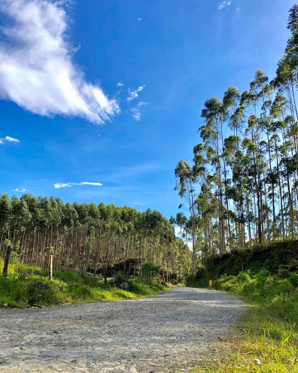 Boquía, Salento Boquía, Salento