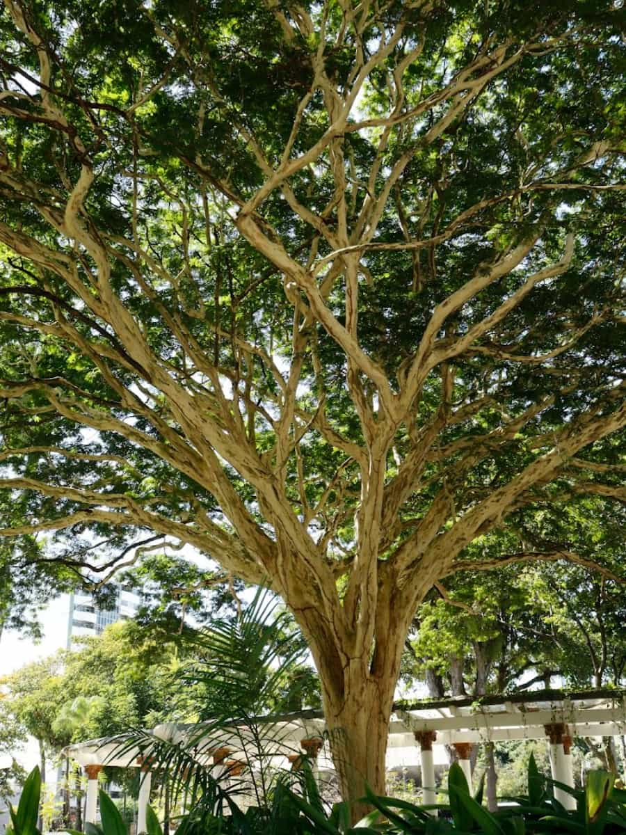 Campo Grande, Salvador Campo Grande, Salvador