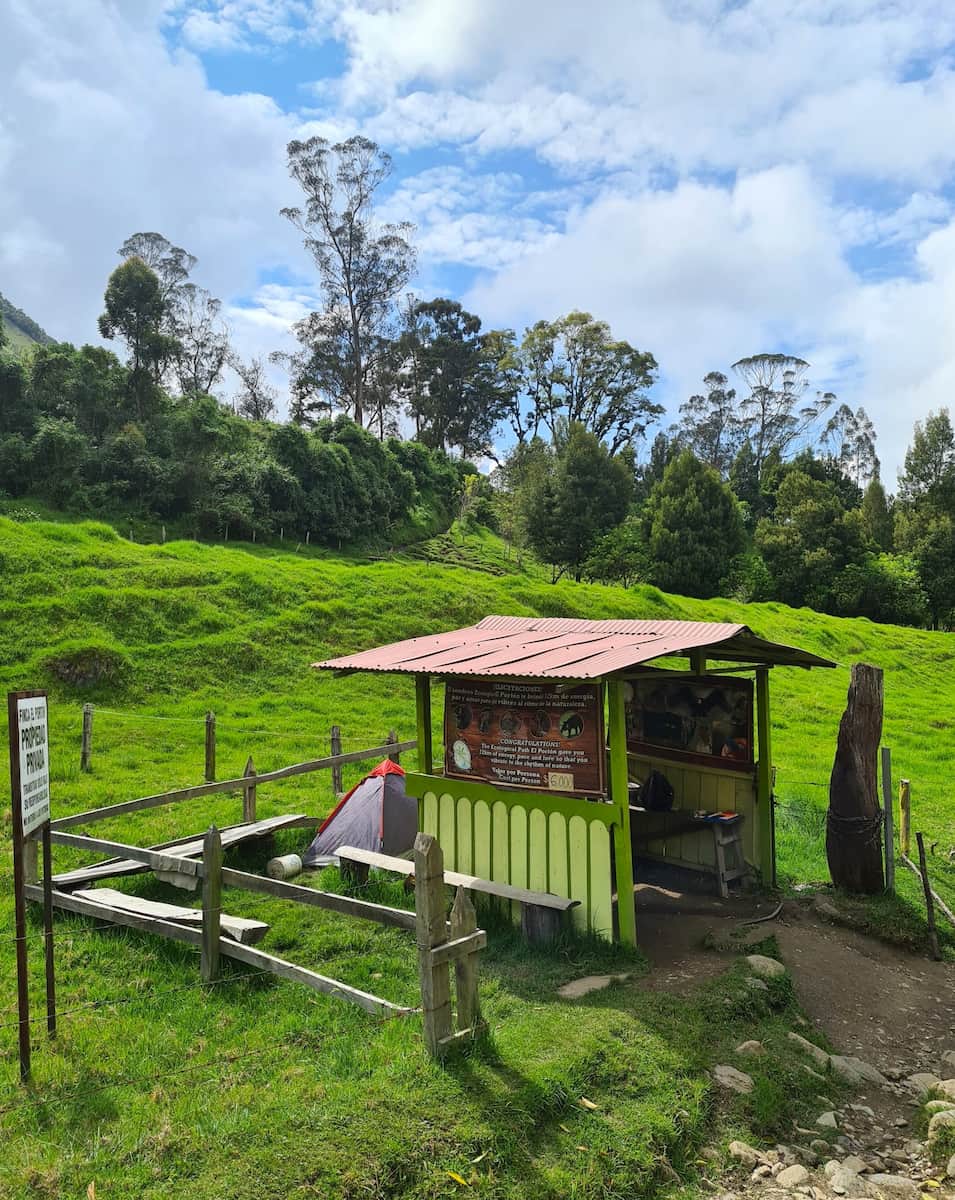 Cocora Valley, Salento Cocora Valley, Salento
