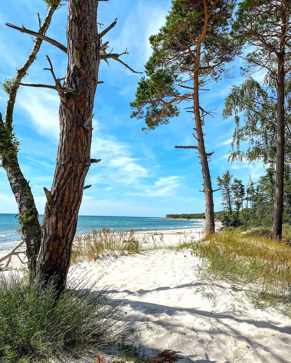 Dueodde, Danmark Dueodde, Danmark