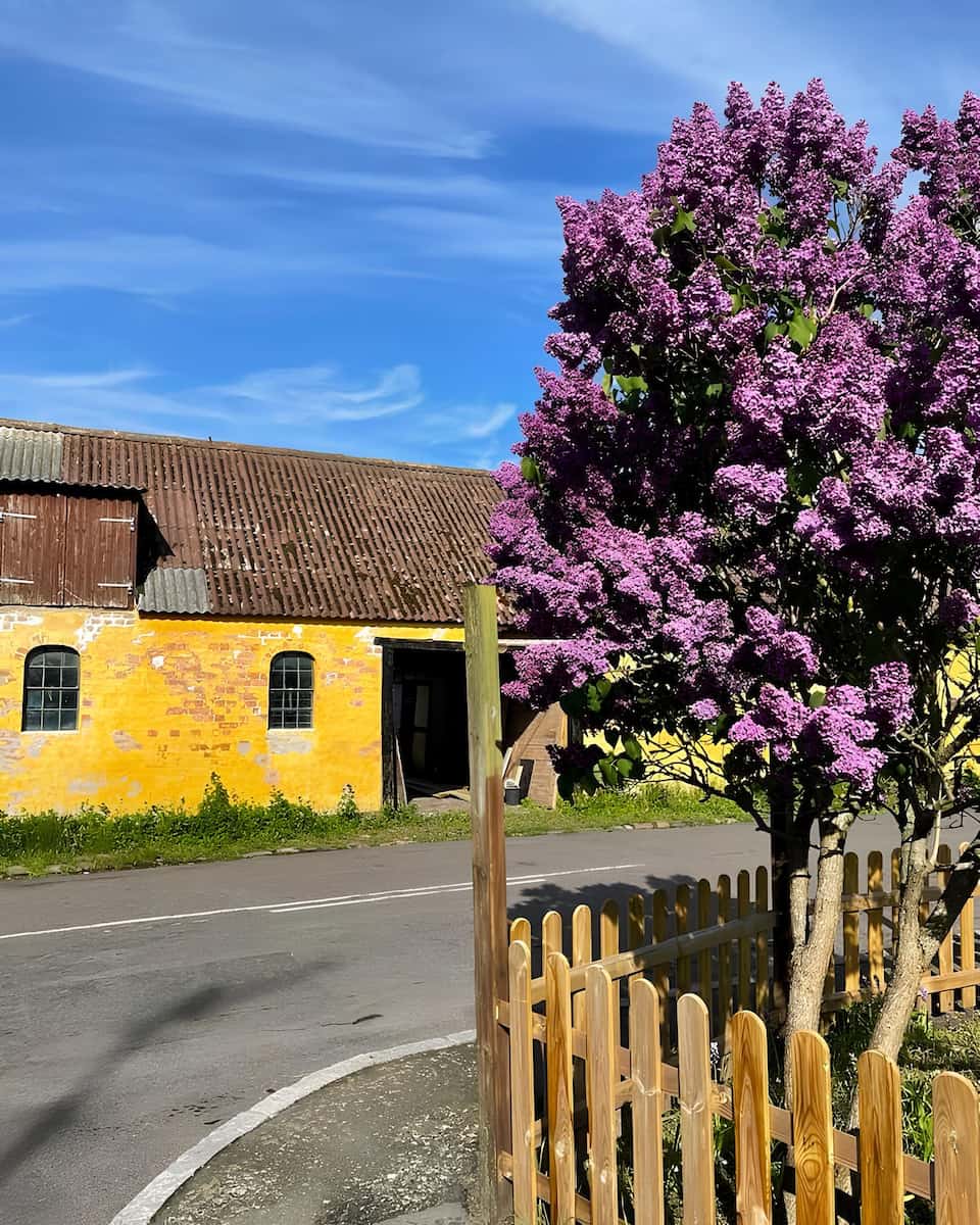 Hasle, Danmark Hasle, Danmark