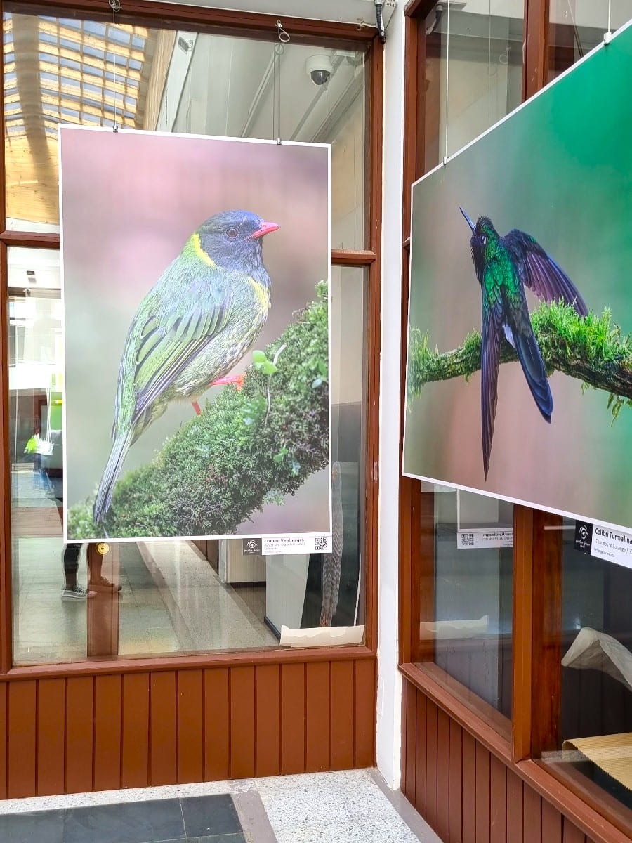 Museo Histórico Juan Pablo II, Puerto Montt Museo Histórico Juan Pablo II, Puerto Montt