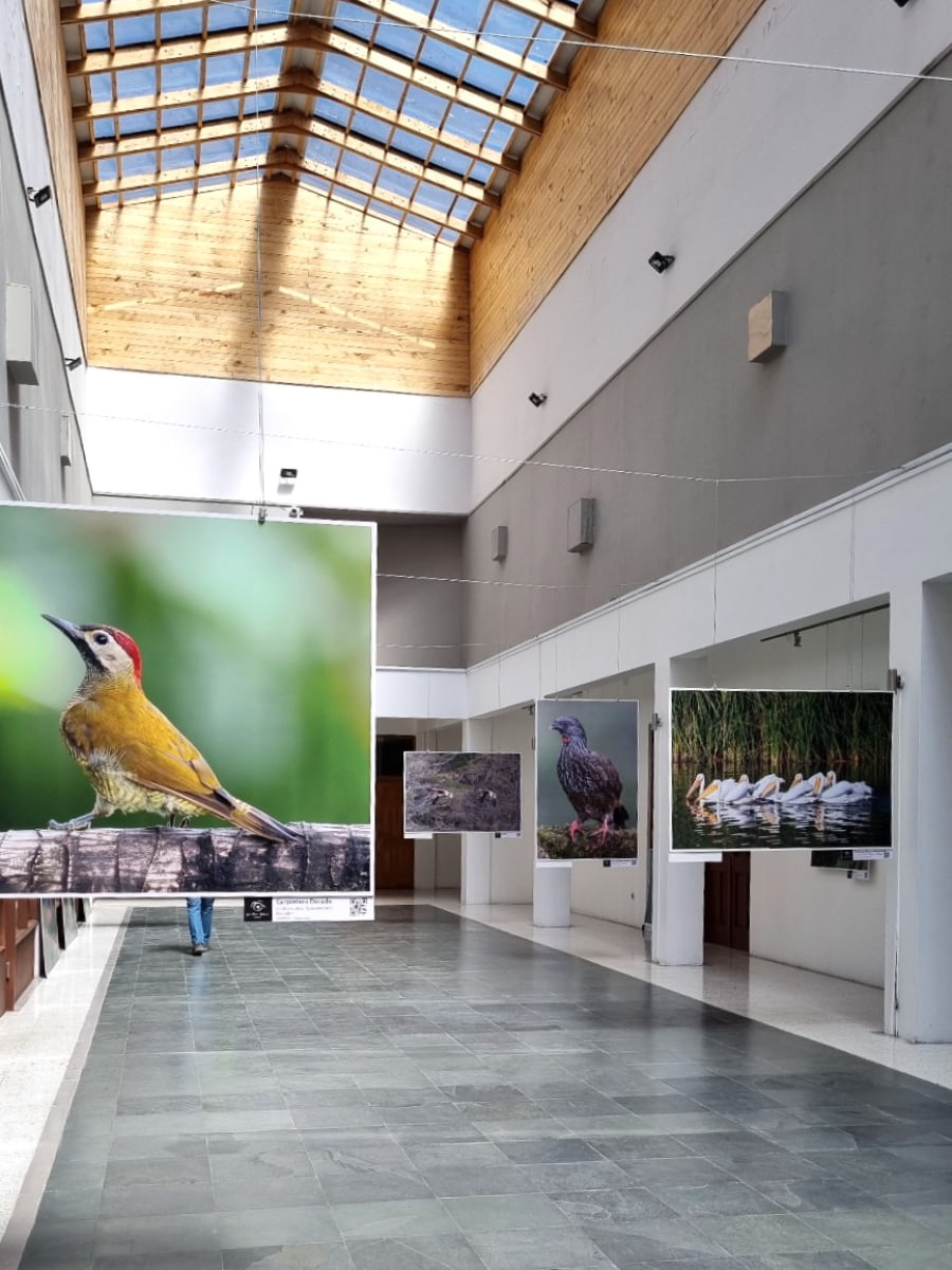 Museo Histórico Juan Pablo II, Puerto Montt Museo Histórico Juan Pablo II, Puerto Montt