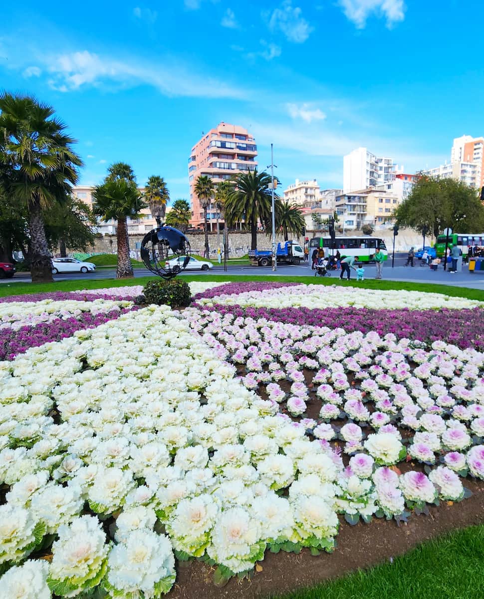 Vina Del Mar, Chile Vina Del Mar, Chile